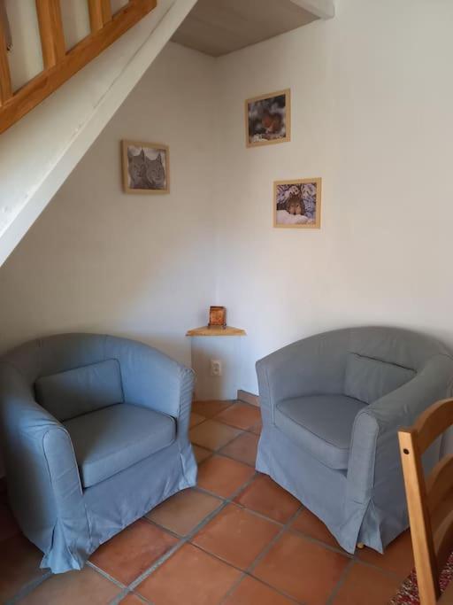 Comps Sur Artuby, Le Tilleul Et Le Four, Jabron Extérieur photo
